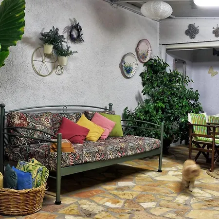 Ancient Guest house 4*
